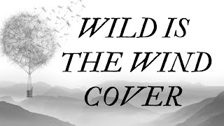 Wild Is The Wind, 50's Jazz Music Song, Nina Simone, Jenny Daniels Covers Best Jazz Classics