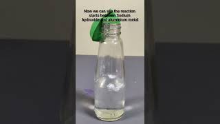 Chemical Reaction between Sodium Hydroxide and Aluminium #science #experiment