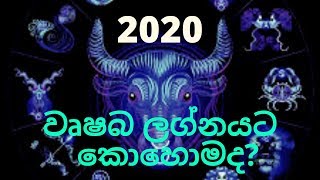 වෘෂභ ලග්න හිමි ඔබට 2020 කොහොමද?