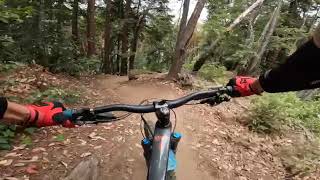 Sawpit Trail at Soquel Demonstration Forest