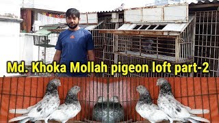 Md. Khoka Mollah pigeon loft part-2 | pigeon videos | Biggest pigeon market in Dhaka | Pigeon Market