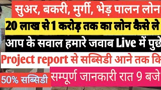 बकरी , सुअर पालन लोन योजना। 50% सब्सिडी के साथ लोन संपूर्ण जानकारी के लिए लाइव ।आपके सवाल हमारेजवाब