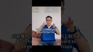 三方向伸展上斜方肌3 Directions to Stretch the Upper Traps#脊醫 #汪家智 #上斜方#肩膊痛 #頸痛 #寒背 #背脊痛#drjoewong #uppertraps