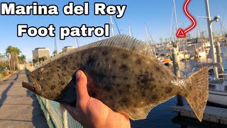 Halibut and spotted bay bass fishing (marina del Rey foot patrol)