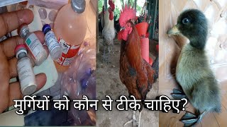 मुर्गियों को कौन से टीके चाहिए?