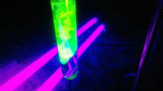 Fluoresceina