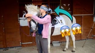 Tacking Up My Horse BLINDFOLDED!