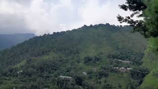 jabori, siran valley, mansehra, kpk, Pakistan جبوڑی سرن ویلی مانسہرہ خیبر پختونخوا پاکستان(5)