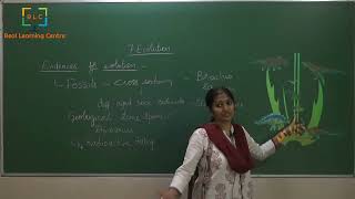 Class 12, Biology Chapter 7 - Evolution, class 2