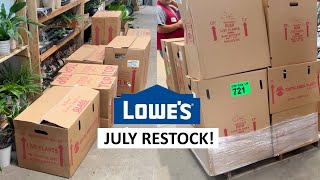 What’s New? Lowe’s July Houseplant Restock! Hanging Baskets, Large Floor Plants, And More!