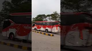 Bus Sahaalah #shortvideo #busmania #sahaalah