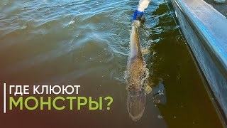 Где клюют монстры? Трофейная рыбалка на Каме