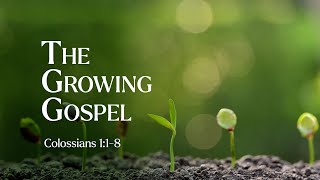 The Growing Gospel | Colossians 1:1-8