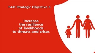 FAO Strategic Objective 5