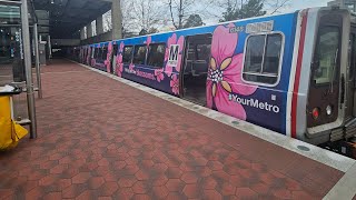 WMATA Metrorail: 2006 Alstom 6000 Series On the Cherry Blossom Train