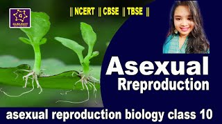 Asexual Reproduction || Biology || Class 10