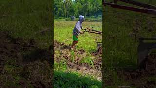 Cara membajak sawah dengan traktor