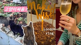 LONDON’s OLDEST RESTAURANT ‘Rules’ | CAT FIGHT | KOREAN BAKERY ‘Paris Baguette’ arrives in London