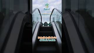 Sebaik baik Do'a di Hari Arafah