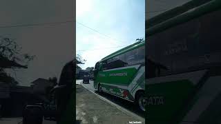 BUS AMALIA TRANS FULL BASURI V3 ZIARAH PAMIJAHAN