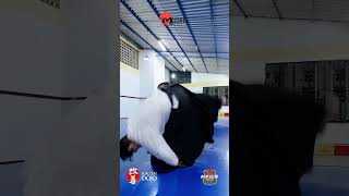 #shorts Seminário com Tadeu Marinho sensei em Aracaju/SE