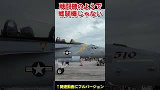 戦闘機のようで戦闘機じゃない　Looks like a fighter jet, but it's not a fighter jet【フルバージョン見てね】