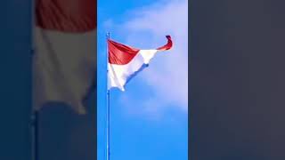 Berkibarlah bendera negriku #17agustus #kemerdekaan #indonesia #fyp #viralvideo #shorts #1945