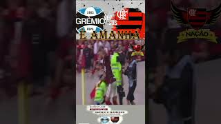 FLAMENGO X GREMIO AMANHÁ