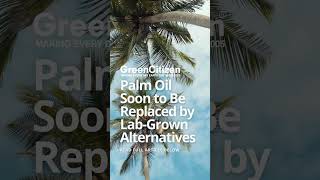 NEWS: Palm Oil Soon to Be Replaced by Lab-Grown Alternatives