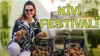 Adım Adım Kivi Festivali