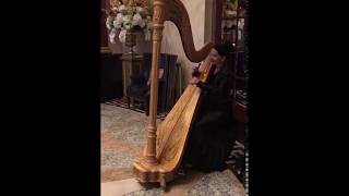 SPN Events Solo Harpist