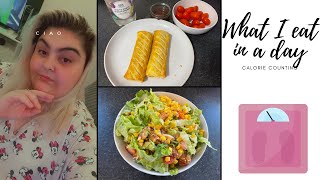 WHAT I EAT IN A DAY | CALORIE COUNTING | 14.01.22 | LOUISAS WORLD