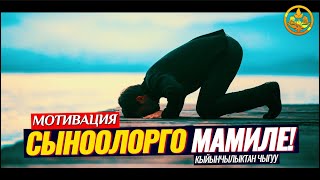 ПРОБЛЕМАЛАРДАН, КЫЙЫНЧЫЛЫКТАН ЧЫГУУ ЖОЛУ. СЫНООЛОРГО МАМИЛЕ! ТОБОКЕЛ. (мотивация)  Шейх Чубак ажы