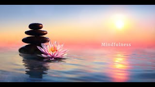 Beginners Mind Guided Meditation