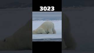 Evolution of Polar Bear || #minecraft #shorts #short