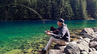 Trout Catch And Cook At The Most Gorgeous Lake Ever!