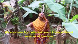 DOCUMENTARY ON INTEGRATED FARMING SYSTEM