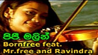 Pepe Malin (Bornfree feat Mr free Ravindra) WWW.LANKACHANNEL.LK