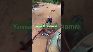 Yanmar TF 150 សម្លេងអុកណាស់ #yanmar #farming #agriculture