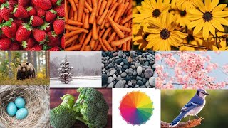 Let's Learn The Colors! - nature colors ||color  Songs|| for Children by kidsvision tv