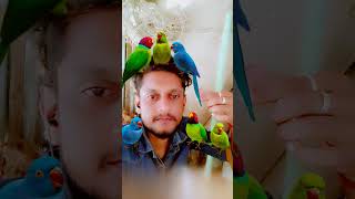 #trending #shortvideo #youtubeshorts #parrotYouTube · NAVIN MEHTA -2023, 2024