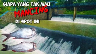 Para pemancing tidak tahu kalau disini ikannya melimpah