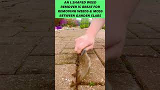 #shorts How to remove weeds & moss easily