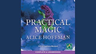 Chapter 1.13 - Practical Magic