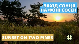 Timelapse: захід сонця на фоні сосен | sunset on two pines | 4k