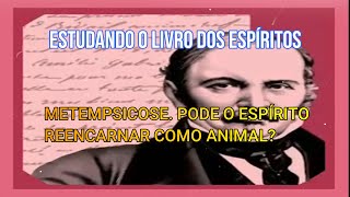 PODE O ESPÍRITO REENCARNAR COMO ANIMAL? - O Livro dos Espíritos