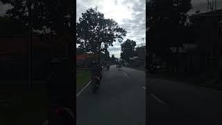 SUASANA PESAWAHAN DI PINGGIR JALAN GARUT SELATAN #shortvideo #pedesaangarut #garutjawabarat