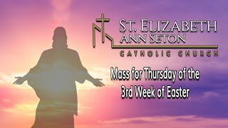 Mass for Thursday of the 3rd Week of Easter