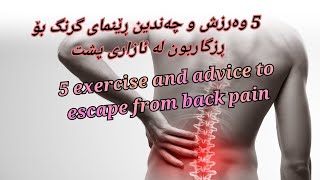 5 exercise and advice to escape from back painوەرزش و ڕێنمای بۆ5 ڕزگاربون لە ئازاری پشت