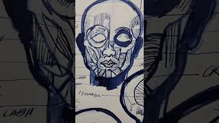 Sketchbook Moleskine: Human Anatomy Head & Skull / Pelikan Ink 4001 #moleskine #ink